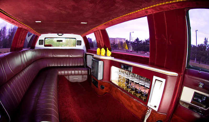 Excalibur Stretch Limousine (белый) 8 mect full
