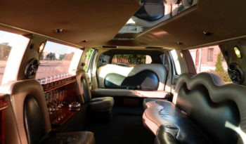 Ford Excursion 13 seats full